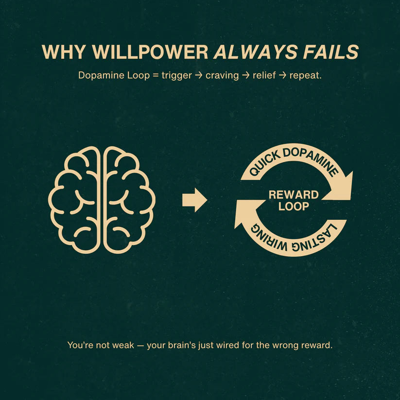 The Rest From Desire Ebook